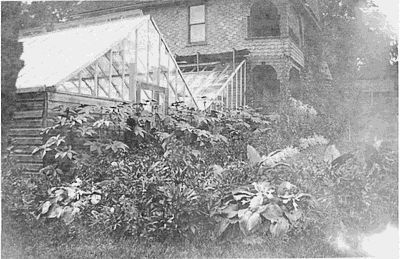 Foote greenhouse