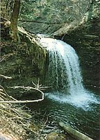 Turkey Falls